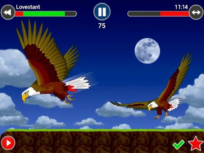 Indian Eagles Gameplay Screenshot